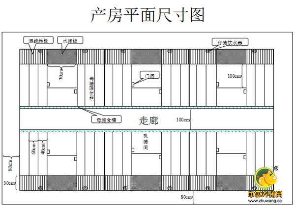 现代猪场产房建设细节！