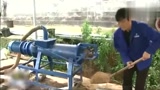 一台小小机器让养猪场排放变为零，环保达标又赚钱！