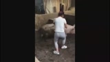 彻底无可救药了, 妹子猪圈里骑猪, 结果笑喷了!