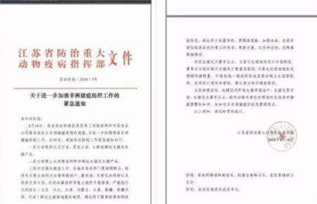 中国养猪网