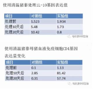 清温猪泰在对抗病毒性疾病方面的优势——非洲猪瘟案例