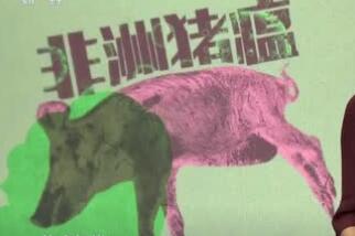 非洲猪瘟或加速猪周期见底！这些国家是如何摆脱非洲猪瘟的？