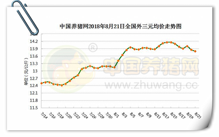中国养猪网
