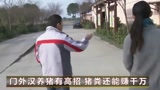 门外汉养猪有秘诀，猪粪还能赚千万，他是怎么做到的？