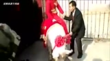 真正的猪八戒背媳妇 养猪户用千斤肥猪接新娘！！