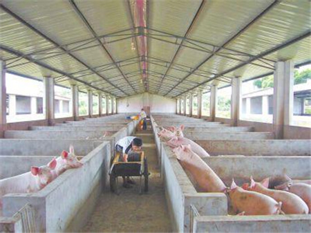 泰乐已涨20%、替米也涨？泰瑞制药擅自恢复生产被查封！