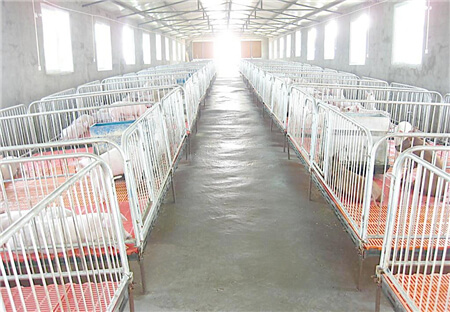 赵辉：如何切断病原进入，阻断非洲猪瘟，消毒就够了？