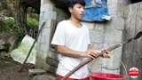 在家养猪又养鸡，农民用它来挣钱，一年能卖多少钱？