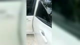 二货段子：我不想养猪，我想当老板！