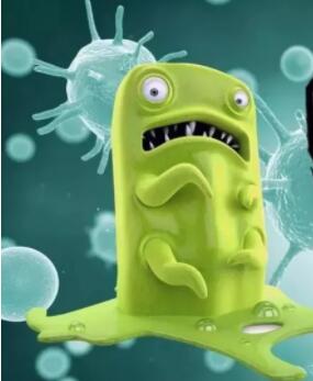 呕吐毒素危害人畜安全，太可怕了！