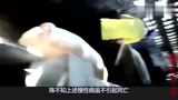 2018年：猪为什么不赚钱？看看这5个细节要和你绝交！