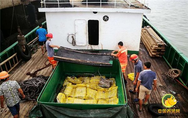 该支队在琼州海峡附近海域查获1艘涉嫌走私铁壳船，当场扣押涉嫌走私鸡爪、猪脚、猪耳朵、猪肚、猪舌等冻品300余吨，案值超千万元人民币，查获涉案人员6人。