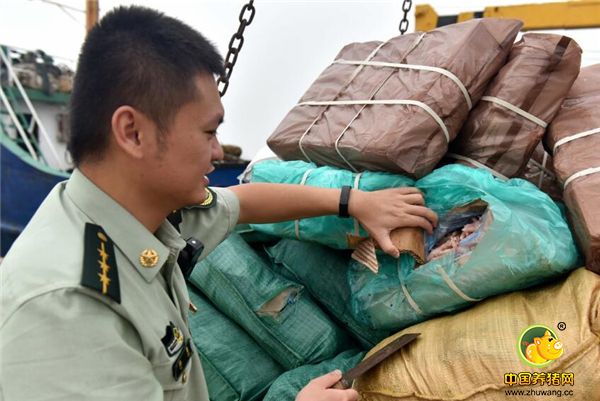 经检查清点，该船无任何船舶证书，船上6名人员均无法提供该批冻品的相关合法手续，该船装载的货物为涉嫌走私的鸡爪、猪脚、猪耳朵、猪肚、猪舌等冻品，总重量300余吨，冻品外包装都有明显的外文标识，海警执勤官兵依法将涉案船舶及货物扣押。