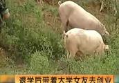 穷小子的90后养猪女友，看懂这个商机！带他年收入3000万