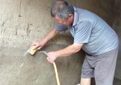 养猪有风险，快来听听农村大爷20年的养猪技巧，看完太受用了