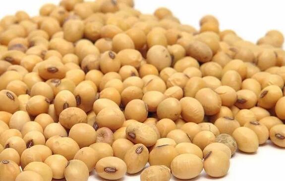 中国又找到新大豆卖家！这下不用再依赖巴西大豆了？