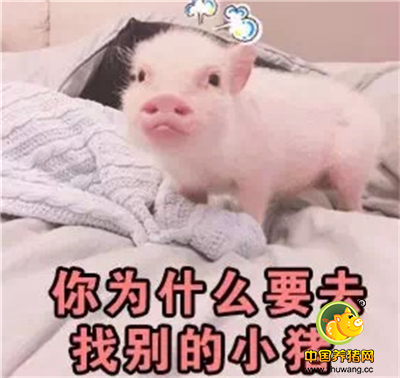 今日头条