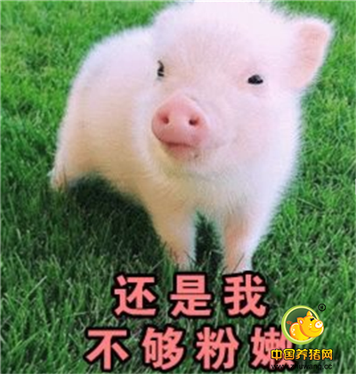 今日头条