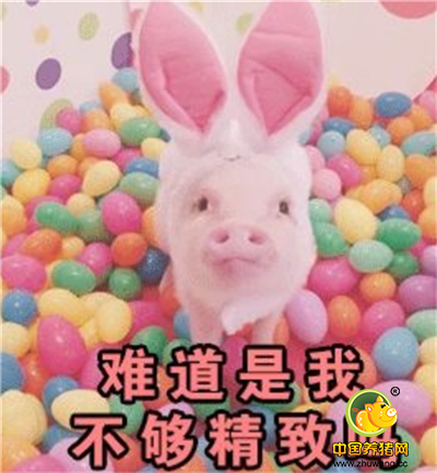 今日头条