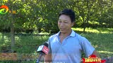 腊务堵村生态山猪养殖拓宽脱贫致富路