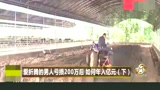 养猪3年连赔200万，改变养殖方法，一年收入近2亿