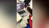 猪：我是一头坐过过山车的猪，太刺激了