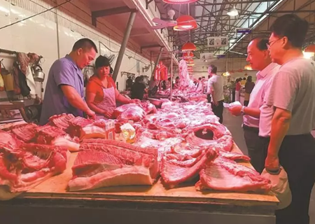 浙江出现一肉难求局面猪价上涨！已20元一斤疯狂猪价！