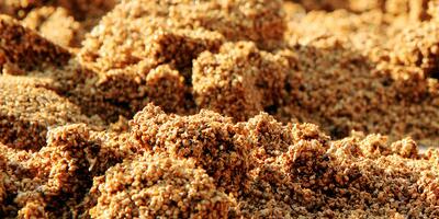 暂停使用猪血为原料生产猪饲料对于饲料企业意味着什么？