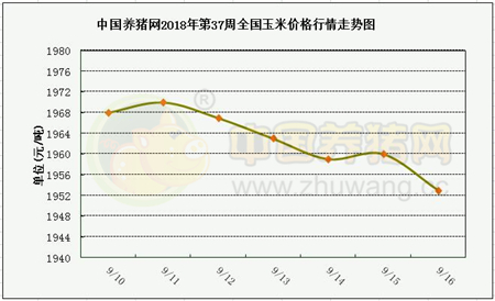 中国养猪网