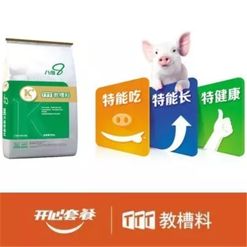 中国养猪网