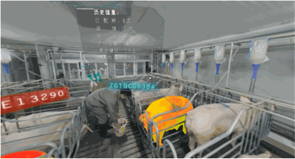 眼见为实！德康猪场360°VR全景开放！！