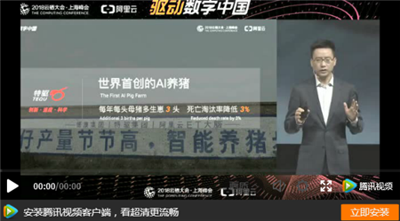 中国养猪网