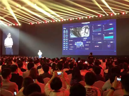 中国养猪网