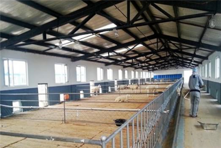 养猪场“常见猪病用药的五组秘方”治疗程序介绍！