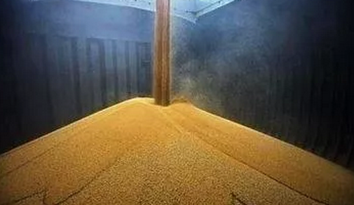 不光猪价受影响，玉米、豆粕或因非洲猪瘟疫情而降价？