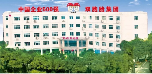 猪料企业“独角兽”：双胞胎20年从40万到500亿的跨越