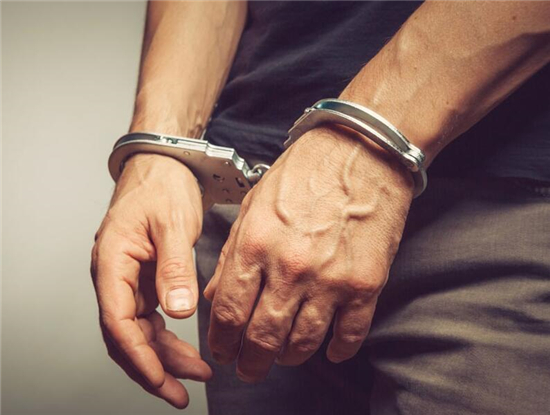 最新猪瘟案件曝光！网友炸锅：是补贴太少？还是极端报复？