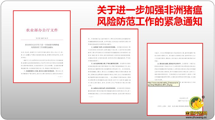 关于进一步加强非洲猪瘟风险防范工作的紧急通知