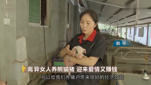 一个离异女人的养猪致富经，迎来爱情又赚大钱！