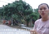 农民卖猪十三头，收入两万多块钱，七块三一斤的生猪