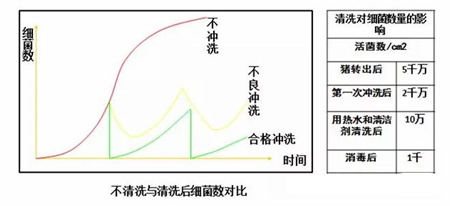 中国养猪网