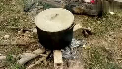 这样杀猪比较人性化，先把猪敲晕，这样猪就不会痛了
