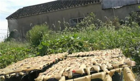 2元一斤的垃圾肉做成肉圆和肉馅，监管部门已介入调查！