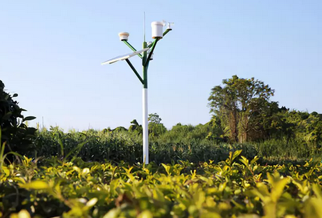 谁说咱们的农业不如外国？揭秘中国十大农业科技！