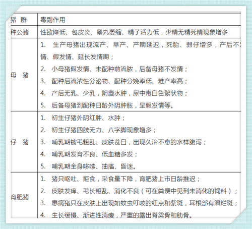 双胞胎养猪服务平台