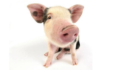 2018年环保令来了，药企错峰生产、严重污染关停！