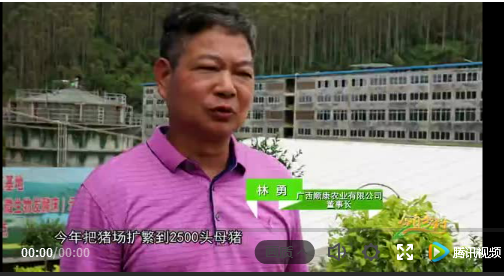 广西玉林六层猪场视频曝光，已投产高楼养猪究竟咋样？