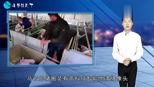 亿万富翁投资的养猪场，和普通老百姓的养猪场一样吗大开眼界！