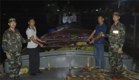 400多吨！800万！广西海警查获两起海上冻品走私案！