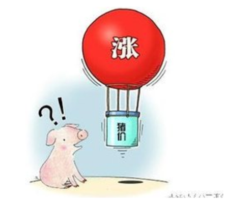 收购量稍好转，猪价多看稳！！